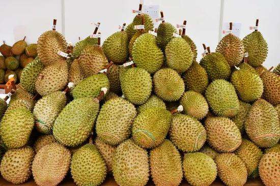 榴蓮進(jìn)口報(bào)關(guān)代理服務(wù)案例，泰國(guó)馬來(lái)西亞榴蓮如何清關(guān)?