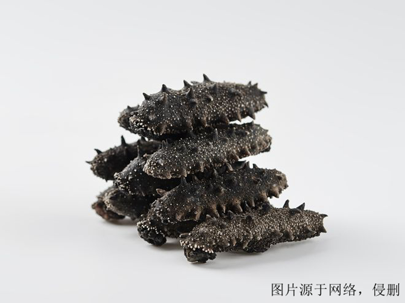 進口越南仿刺參清關(guān)流程 進口越南仿刺參清關(guān)流程