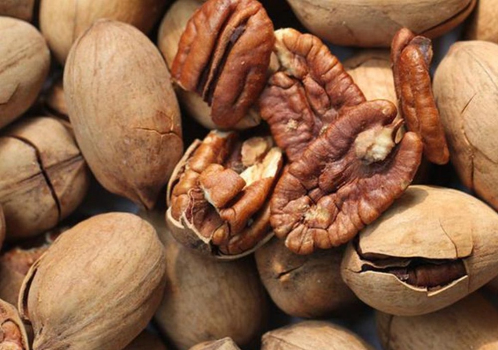 墨西哥碧根果進口清關(guān)流程