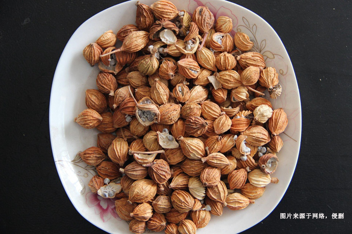 天津進口印尼白豆蔻報關流程 天津進口印尼白豆蔻報關流程