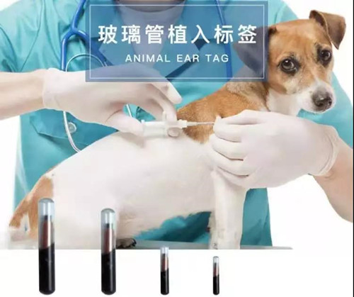 1570758626218486.jpg 寵物進口報關(guān)