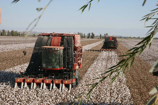 1583716176844527.jpg timg_副本.jpg