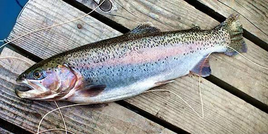 1584493110468723.jpg u=2846892329,3868471973&fm=26&gp=0_副本.jpg