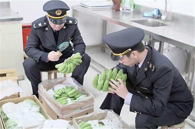 1587519869977581.jpg 越南香蕉進口報關