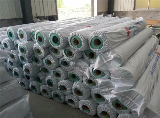 1587865622182477.jpg 防水卷材進(jìn)口報關(guān)