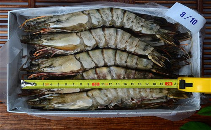 進口泰國蝦清關代理公司 進口泰國蝦清關