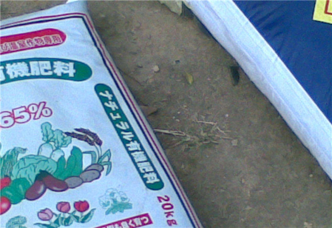 1590111992460158.png 化肥進口報關