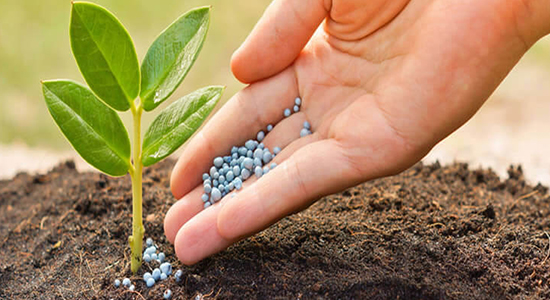 1593485471186759.jpg 農(nóng)作物肥料進(jìn)口清關(guān)