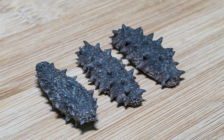 1597885652385512.jpg 仿刺參進(jìn)口報(bào)關(guān)