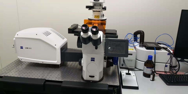 1598236921231527.jpg 環(huán)境科研設(shè)備進口報關(guān)