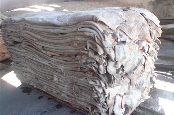 1606202814803808.jpg timg (1)_副本.jpg