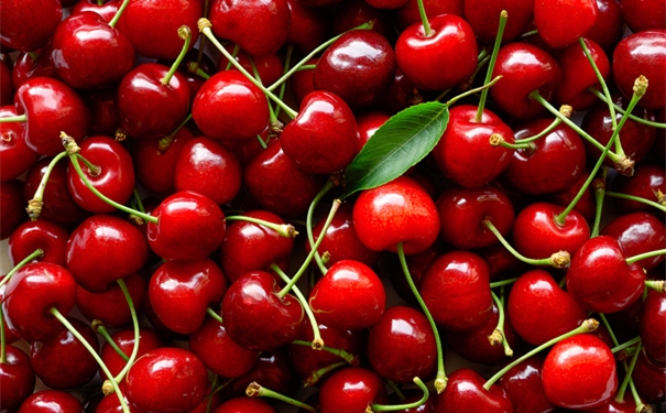 智利進口車?yán)遄忧尻P(guān)超詳細(xì)清關(guān)資料以及流程 智利進口車?yán)遄忧尻P(guān)