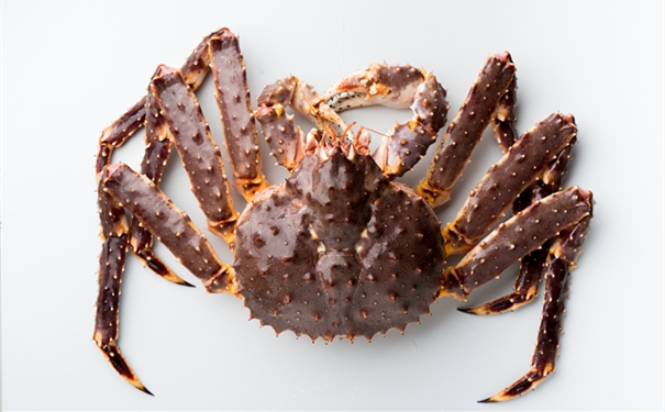 【進(jìn)口帝王蟹報關(guān)代理】的流程,一般貿(mào)易進(jìn)口帝王蟹 進(jìn)口帝王蟹報關(guān)代理