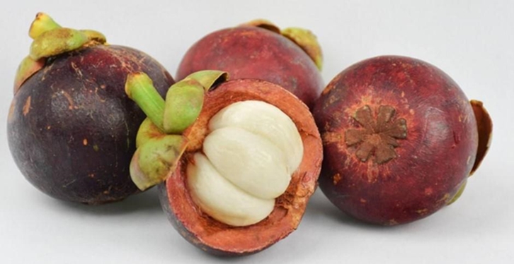 【馬來西亞山竹進口清關代理公司】指導您如何進口 馬來西亞山竹進口清關代理公司