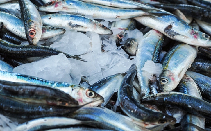 加拿大冷凍魚進口報關(guān) 加拿大冷凍魚進口報關(guān)一站式進口代理公司