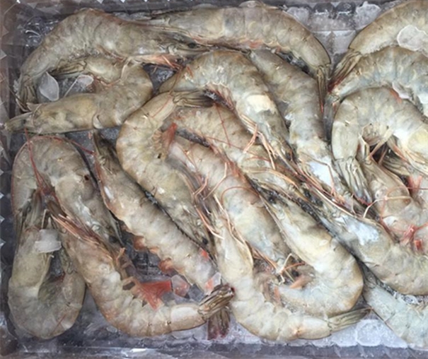 冷凍長額蝦進口報關(guān)注意事項有哪些 冷凍長額蝦進口報關(guān)