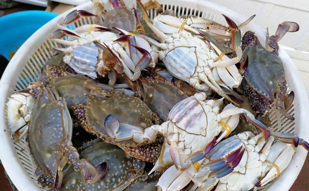 冷凍蟹進口報關(guān)一般貿(mào)易流程 冷凍蟹進口報關(guān)