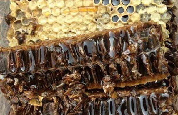 Get!蜂膠進口清關代理需要注意這2點 蜂膠進口清關代理