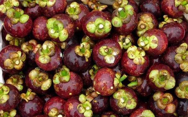 1628074925522747.jpg 洋山港進口山竹清關公司