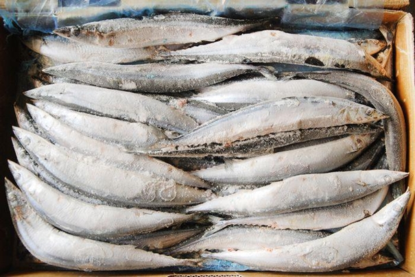 1630665354483091.jpg 進口冷凍水產品報關_副本.jpg