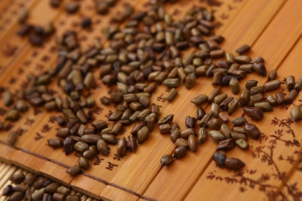 1631010227352330.jpg 印度決明子進口清關