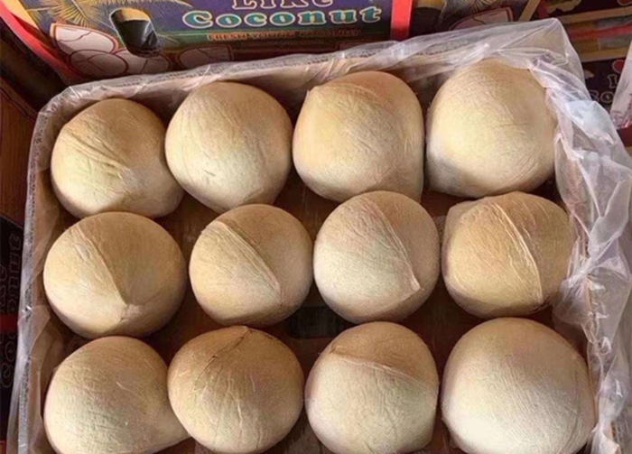 進口新鮮椰子報關 進口新鮮椰子報關