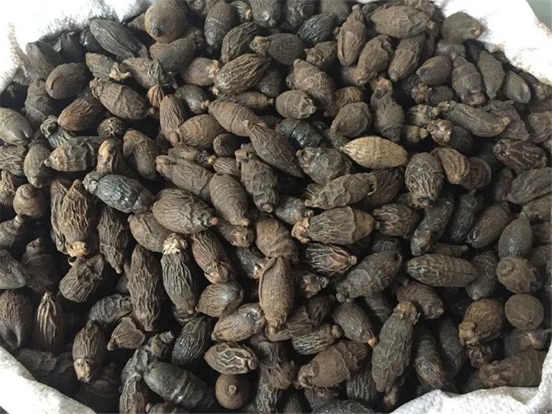 1653375333257621.png 進(jìn)口馬來(lái)西亞干檳榔清關(guān).png