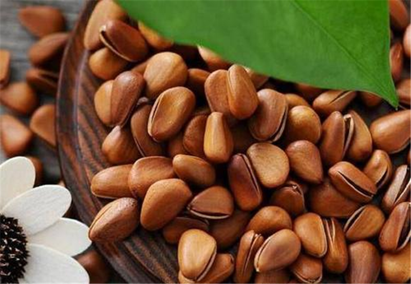 1653646411288190.png 阿富汗冷凍紅松子進口報關.png