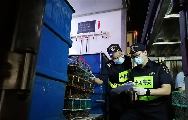 1654766897186743.png 天津進口水產品報關.png