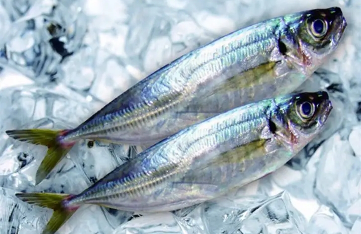 1655116797711603.jpg 廈門港冷凍海鮮報關_副本.jpg