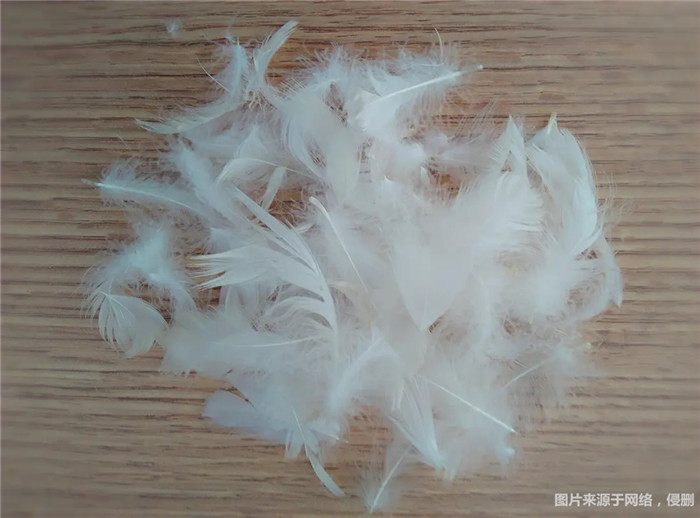 1670322312967922.jpg 水洗白鴨毛進(jìn)口報(bào)關(guān).jpg