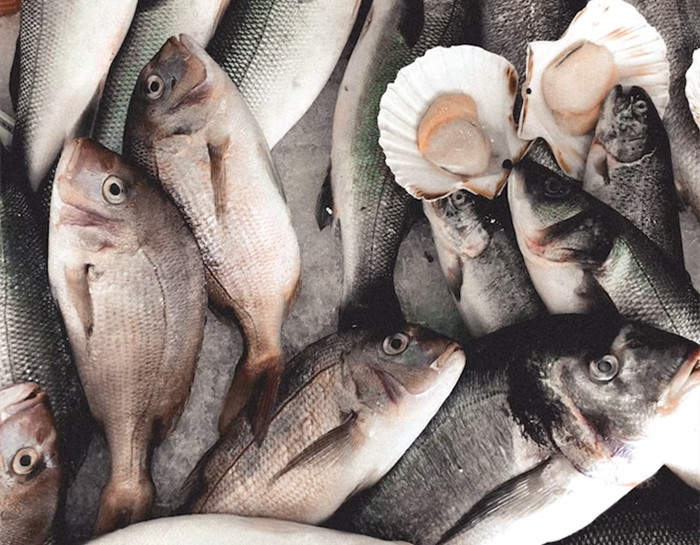 1675335746452726.jpg 大連進口海鮮清關代理.jpg