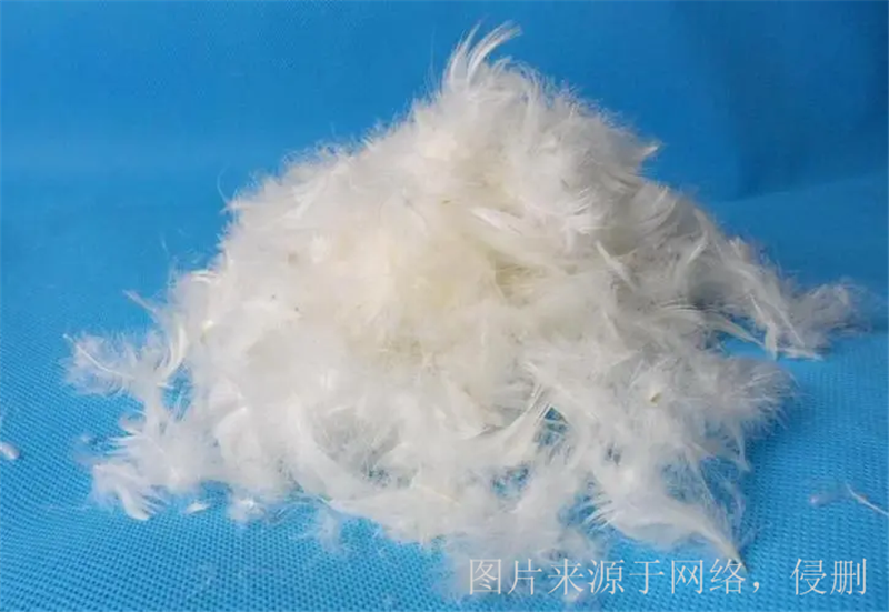 1676974503898014.png 廣西貴港鴨毛進(jìn)口報(bào)關(guān).png