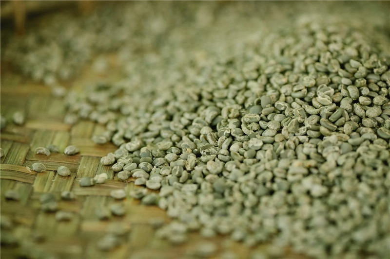 1677226256165532.png 坦桑尼亞進口生咖啡豆報關(guān).png