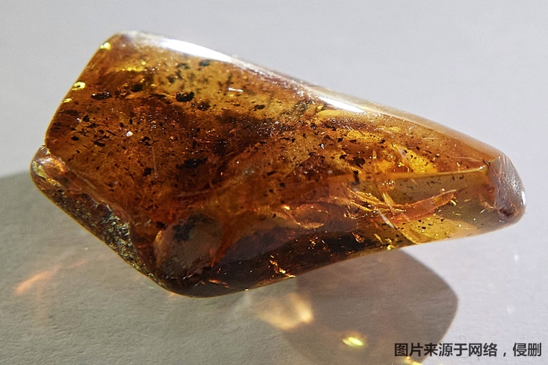 1682589476688981.jpg 琥珀進口報關(guān)流程.jpg