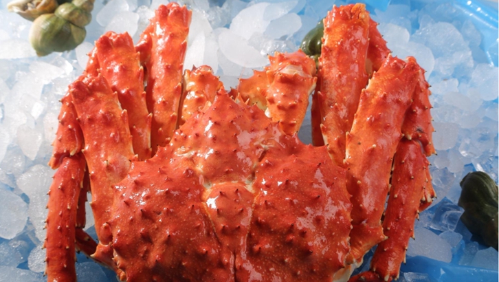 俄羅斯進口帝王蟹報關資料 俄羅斯進口帝王蟹報關資料