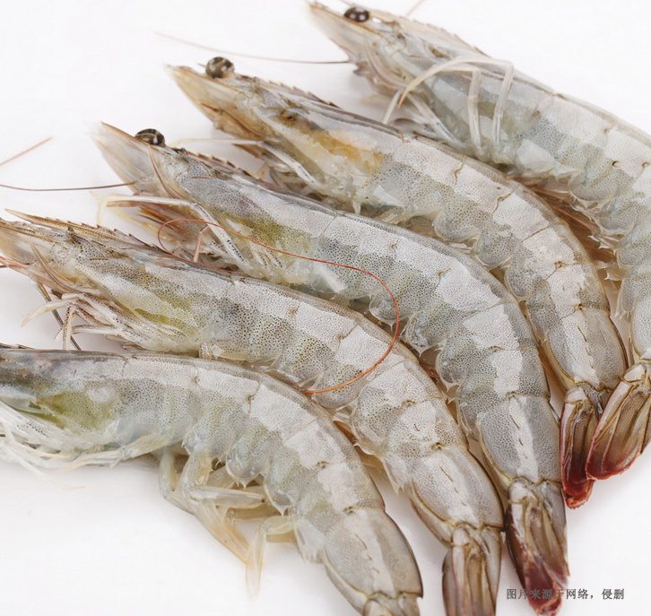 越南冷凍蝦進(jìn)口清關(guān)流程 越南冷凍蝦進(jìn)口清關(guān)流程