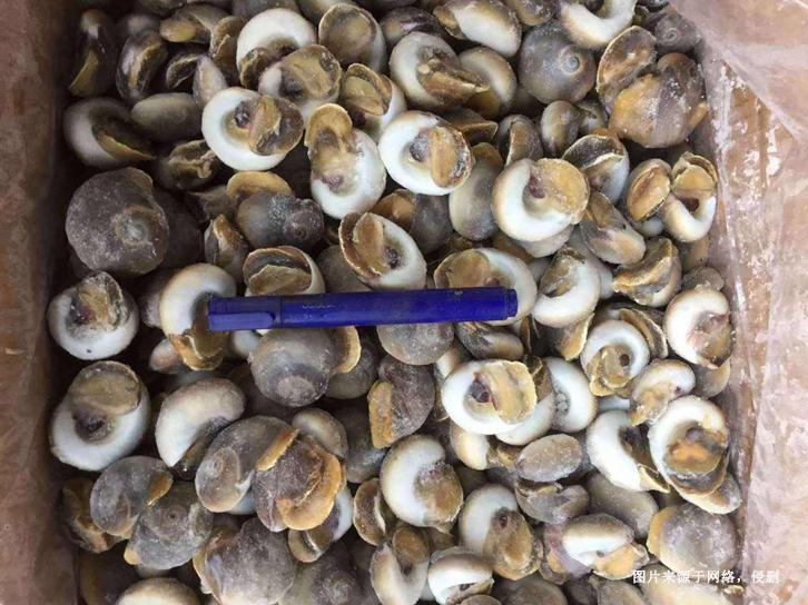 廣州南沙港進口印度水產(chǎn)品報關(guān)資料 廣州南沙港進口印度水產(chǎn)品報關(guān)資料